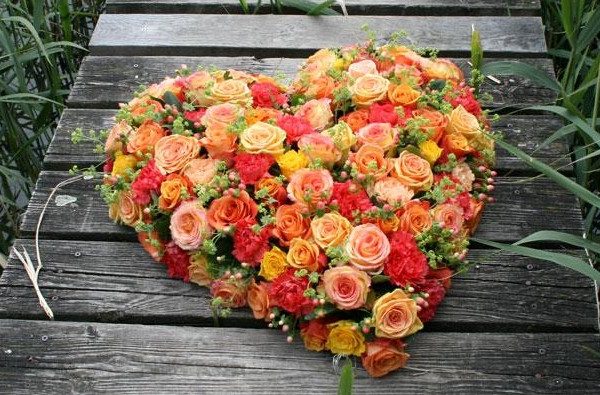 Rosenherz-gelborange (2)